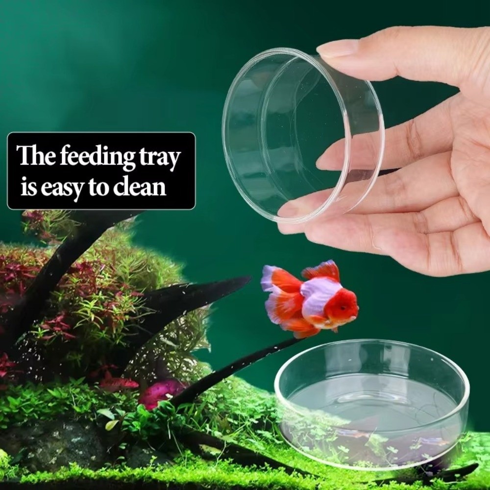 Glass Aquarium Feeding Bowl Du - Baby Food Shrimp ulasan dan harga