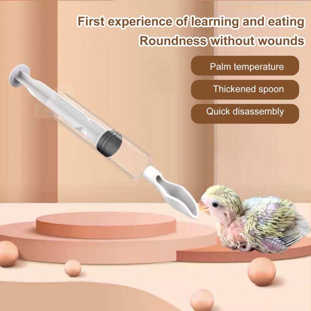 Food Feeding Needle 1 Set Bird - Baby Food Youtube ulasan dan harga