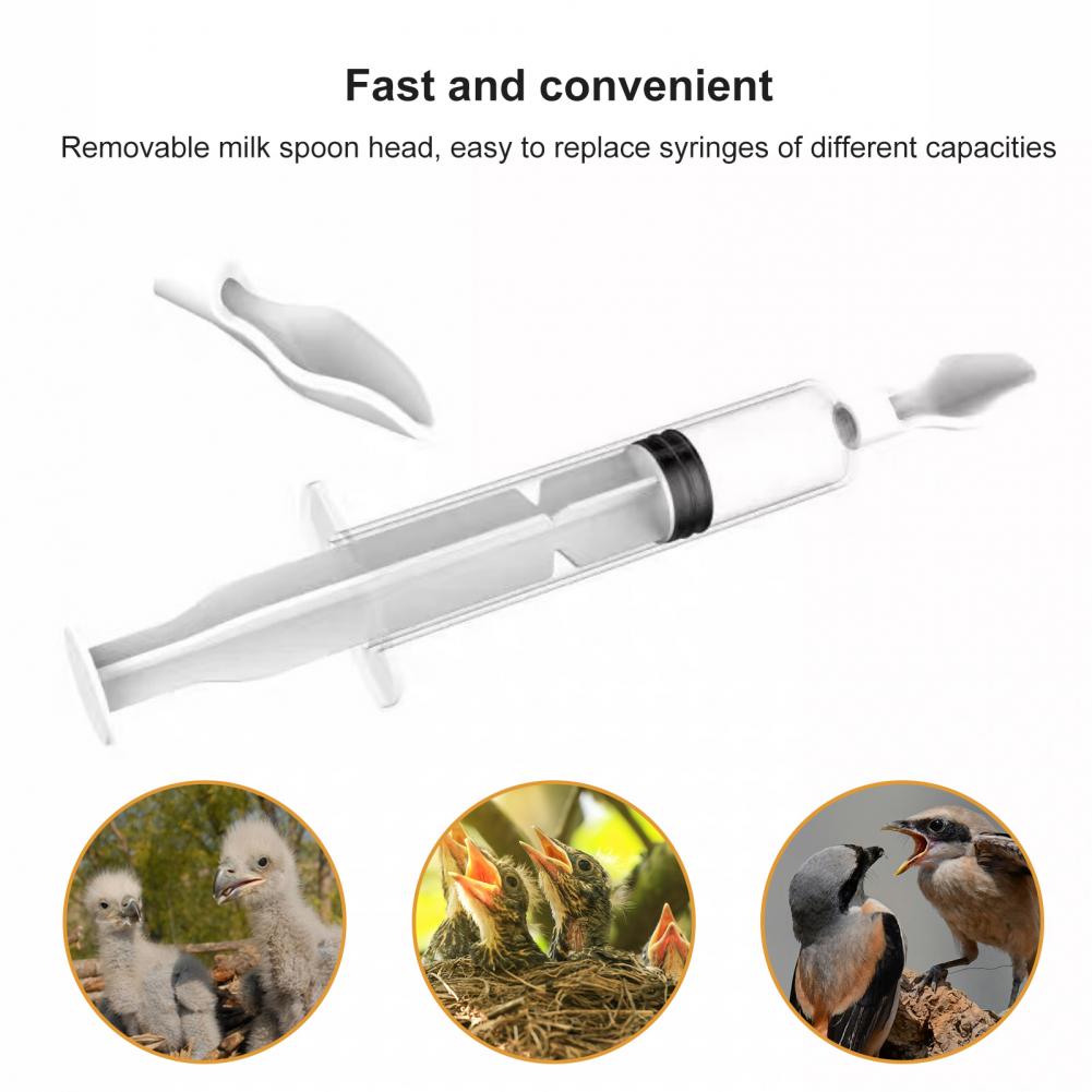 Food Feeding Needle 1 Set Bird - Baby Food Youtube ulasan dan harga
