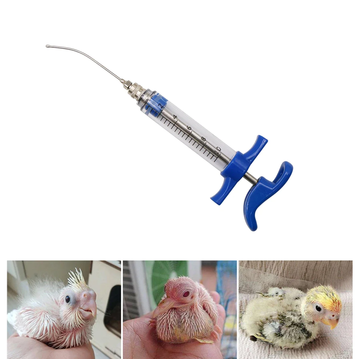 Parrot Feeding Tubes Birds Fee - Baby Food Youtube ulasan dan harga