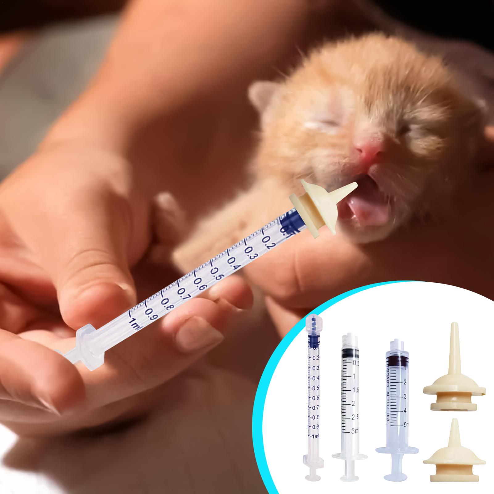 Baby Bird Feeding Syringe Reus - Baby Food Youtube ulasan dan harga