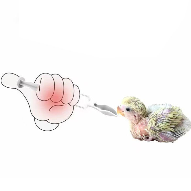 Food Feeding Needle 1 Set Bird - Baby Food Youtube ulasan dan harga
